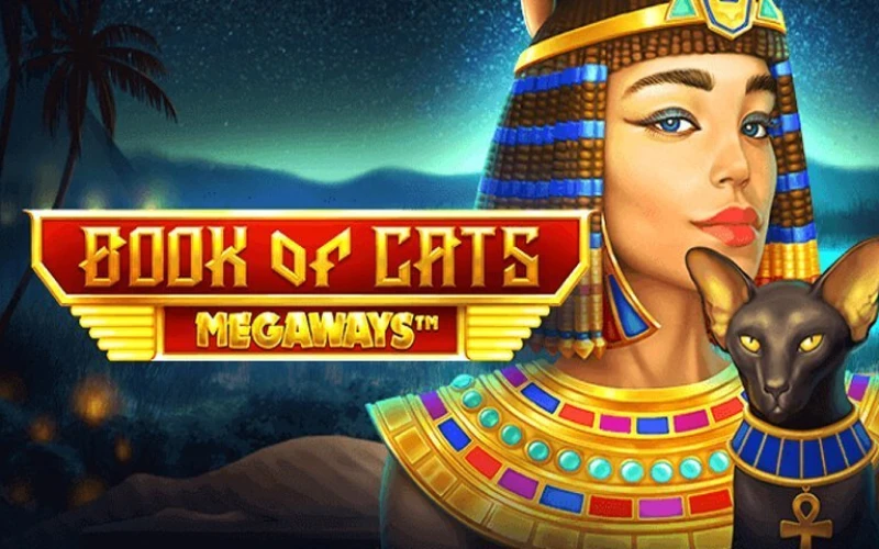 Uncover Book of Cats treasures at Melbet.