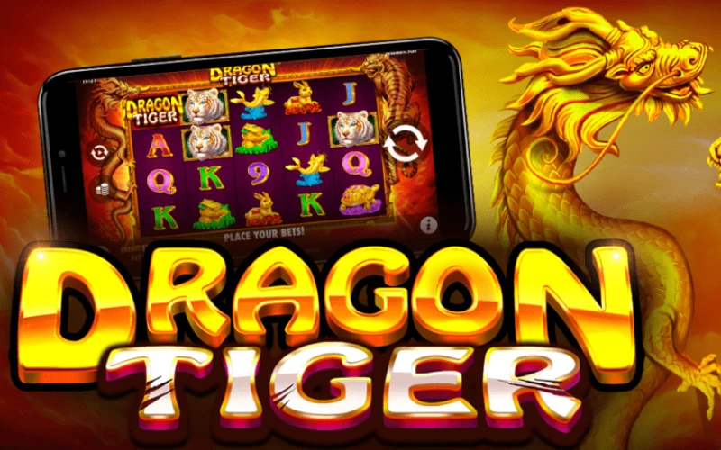 Play Dragon Tiger live excitement at Melbet.