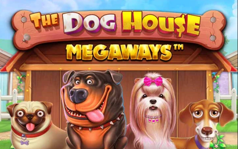 Win big in Dog House Megaways at Melbet.